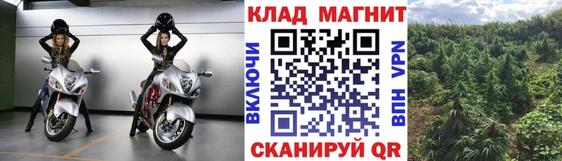 МЕТАДОН Родники