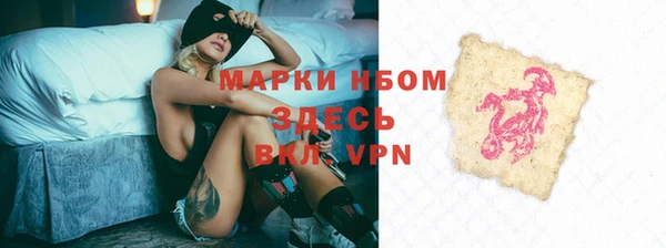 индика Армянск