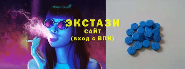 индика Армянск