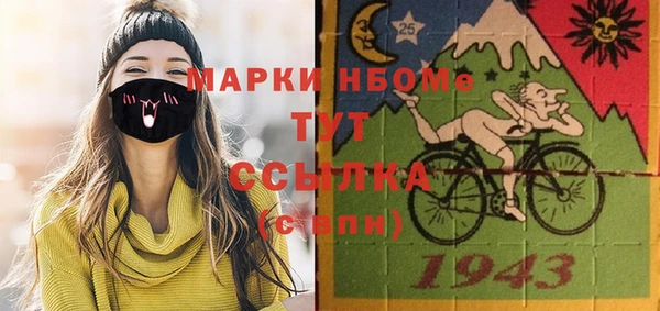 индика Армянск