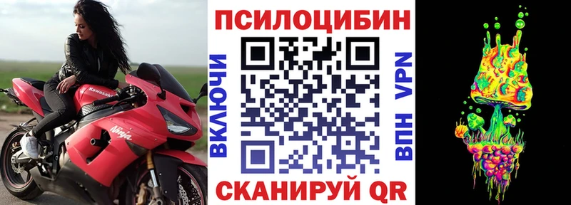 Псилоцибиновые грибы MAGIC MUSHROOMS omg как войти Родники цена наркотик